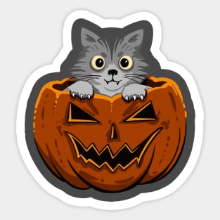 Halloween cat Sticker